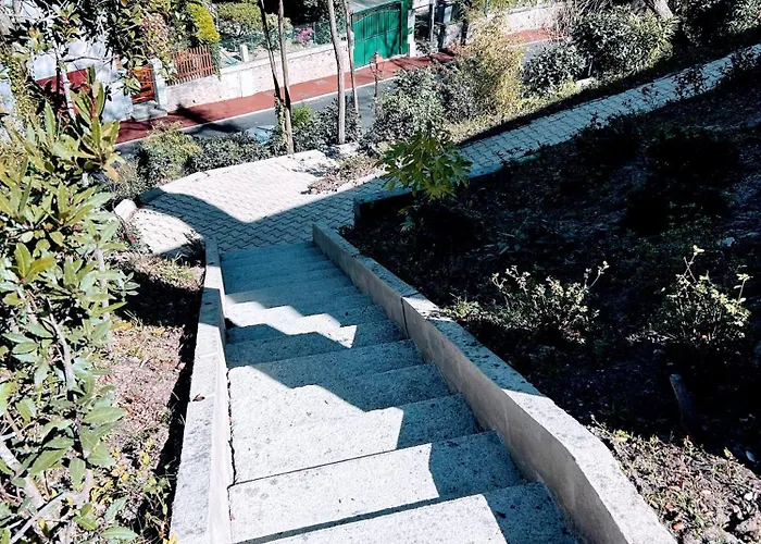 Peaceful Oasis In D'hiver Arcachon