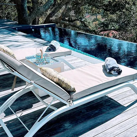 Peaceful Oasis In D'hiver Arcachon