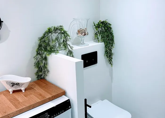 Peaceful Oasis In D'hiver Daire