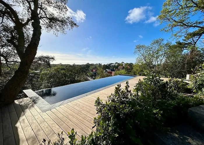 Peaceful Oasis In D'hiver Daire Arcachon